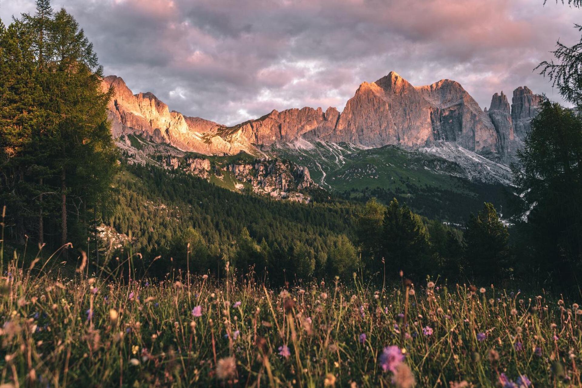 Appartamenti Cesa Col De Pin Canazei Exterior foto